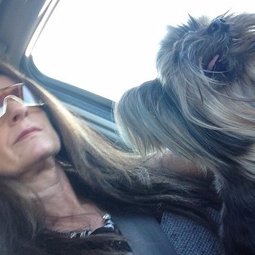 MoneyMatters2's profile picture. 