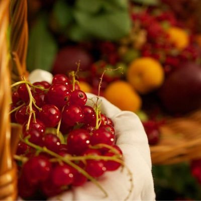 HealthyMelissa's profile picture. eating clean to maintain healthy weight and become healthy each and every day. motivated, blogger wife and mother.part time reseller on Poshmark.