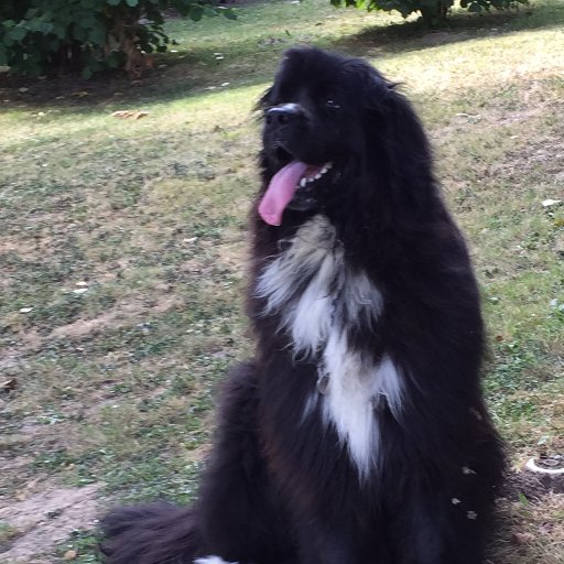 michgrach's profile picture. 