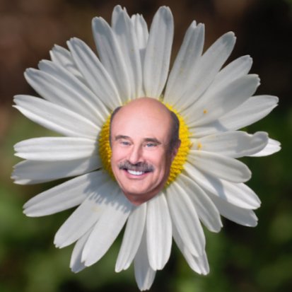 BlockMeDrPhil's profile picture. please @DrPhil block me