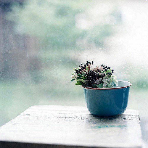 KyranDennison's profile picture. Just a librarian who loves cataloguing and music.