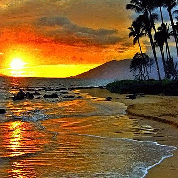 carlosjaac9's profile picture. 