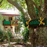 Kanahau Utila (@kanahau_utila) Twitter profile photo