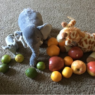 mohanchandark's profile picture. Exploring...