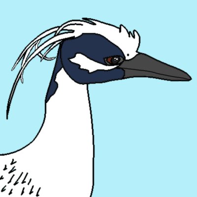 Epep_the_Heron Profile Picture