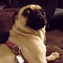 Ricky Lee Tomlinson - @RickyLeeTomlin2 - Twitter