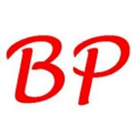 BP (@badgerpundit) 's Twitter Profile