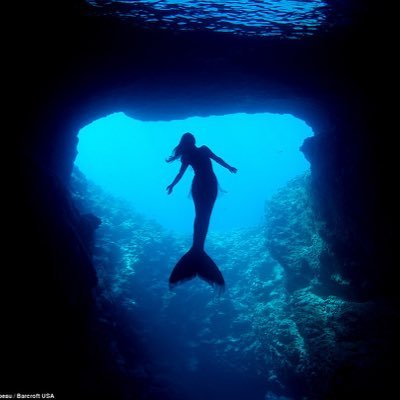 For people who love all things under the sea 🌊 I want to offer a safe fun twitter page for the public. Follow for follow ✨