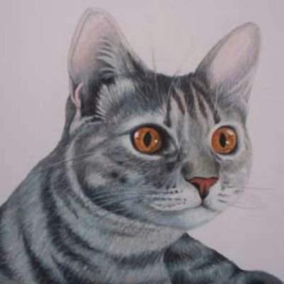 RobinBruce8467's profile picture. 