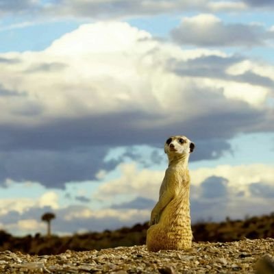 abhijitdevadhe's profile picture. I am special.