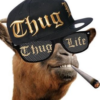 o53867051's profile picture. Карала ме мајка за 100 динара од тога сам и умро.