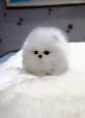 Evayolanda1974's profile picture. Simplemente yo