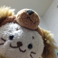 トムトム1124 (@1124tomtom) 's Twitter Profile Photo トムトム1124 (@1124tomtom) 's Twitter Profile Photo