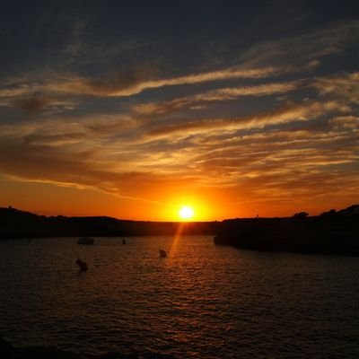 michdean27's profile picture. 