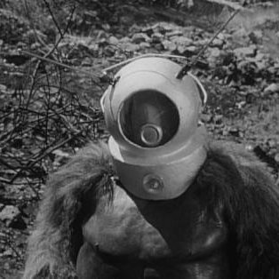 ianmarsellusbot's profile picture. 