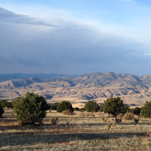 Querencia: a profound, quiet sense of inner well-being that comes from deeply knowing a particular place of the earth.
