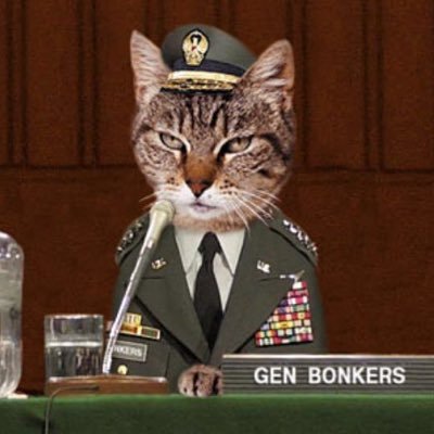 GeneralBonkerz's profile picture. The war on string may be unwinnable