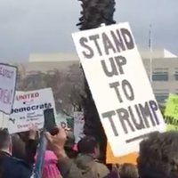 Fire Trump Now (@firetrumpnow) 's Twitter Profile