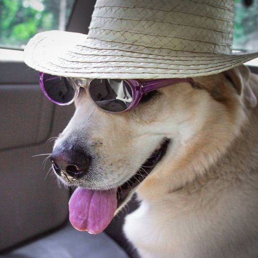 BriggsDyllan's profile picture. 