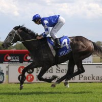 Cody Morgan (@codymor12594764) 's Twitter Profile