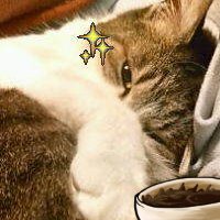 nocconotw's profile picture. 猫のいる居酒屋店主(*ﾟ∀ﾟ)ウチだけど。 笑ったまま死にたい。 唎酒師、自称酒のツマミ研究家 猫：プリン14歳、芽生13歳、にゃんちゃん、コロちゃんお空組。 大谷翔平応援してます!