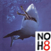 Super Duper Shark discusses disruptive technology, events and ideas.  Come visit us at http://t.co/WWqU5u0p