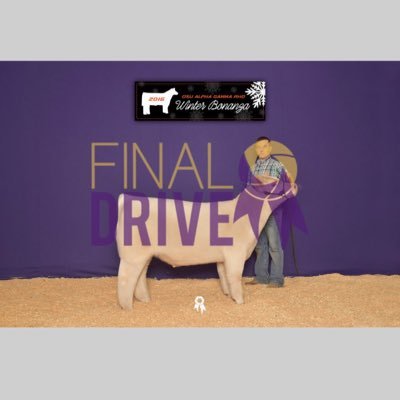 cooper_sneary's profile picture. Sneary Livestock * 👻 : Coopdog47