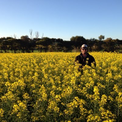 CTALiebeck's profile picture. 