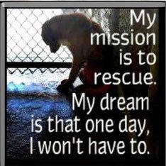 PaulineBrand1's profile picture. Remember ..If you don't like me ...it's mind over matter ..I don't mind ...and you don't matter ...😉