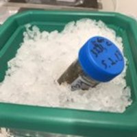 Mizrahi Lab (@labmizrahi) 's Twitter Profile Photo Mizrahi Lab (@labmizrahi) 's Twitter Profile Photo