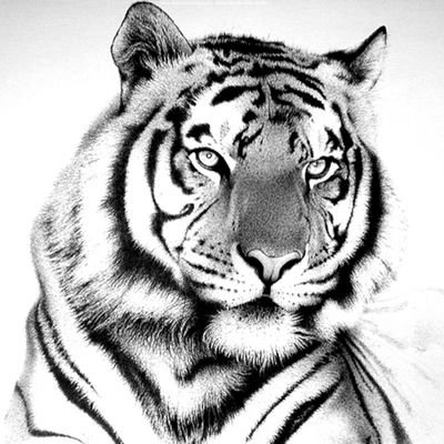 camillejoyaseo1's profile picture. 😇😇😇