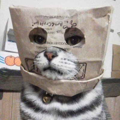 パニガーレv2とNDロド乗りです。ソロツーは楽しくないので、一緒にブラッと行ける方よろしくお願いしますー