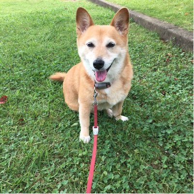 無言フォロー大歓迎です🌈ただのオタクによる耳コピピアノの物置部屋。更新率は低め。★お題箱→https://t.co/ZtZwt8rIrw リクエスト、質問、要望、メッセージなどなんでもぶち込んでください