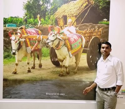 sujitjain0007's profile picture. 