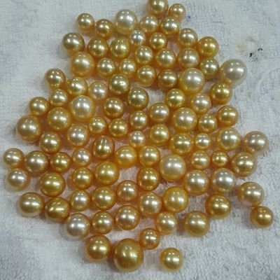 Ana pearl menawarkan produk kerajinan mutiara dengan ikatan emas & perak yg merupakan kerajinan dari sekarbela lombok