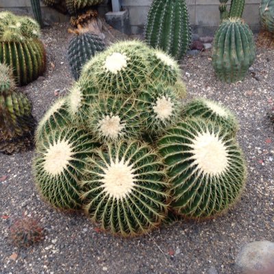 shutowillfu37's profile picture. willfu37期/理科大