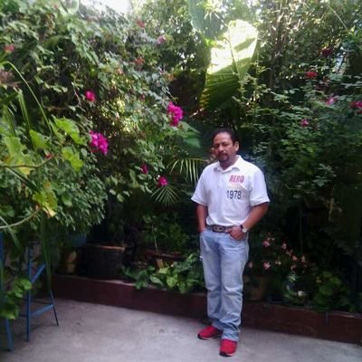 martinc41396965's profile picture. 