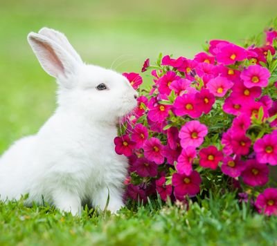 shravssravanthi's profile picture. 