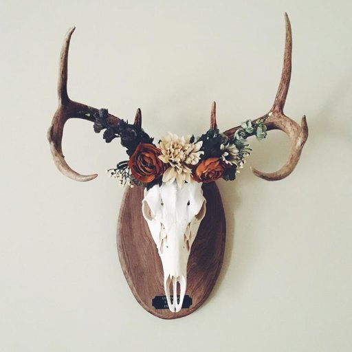 Welcome to the Hunting World!