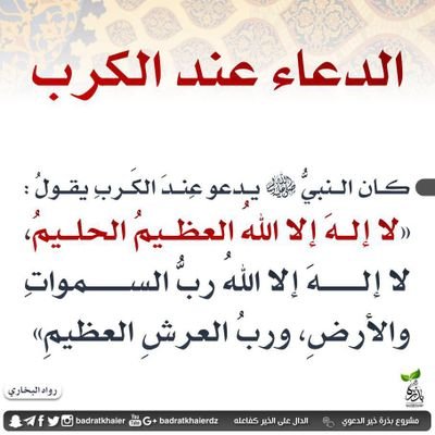 KamalAmir12's profile picture.
