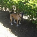 Edwin Wainaina - @EdwinWainaina13 - Twitter