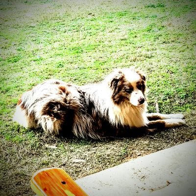 nick_stnley's profile picture. 