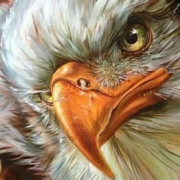 VLumenta's profile picture. Dream The Impossible & Believe What Unbelievable