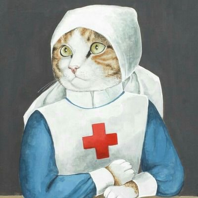 Nurse. Cat lady.