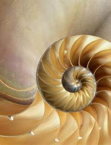 morganweb's profile picture. Morgan Web Design creates custom web solutions.