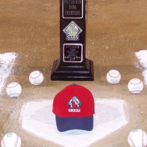 PittNABAPrez's profile picture. Official Communications Account for the Pittsburgh NABA League President