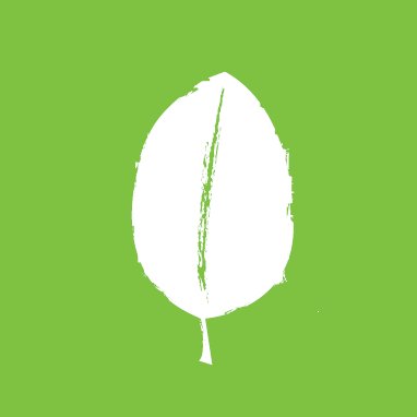 Healthy home furnishings and green lifestyle goods in Ithaca NY
