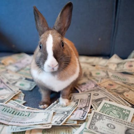 I could of been a bitcoin millionaire... so say we all! Now just working on getting there a bit slower. Started off mining years ago switched to investing.