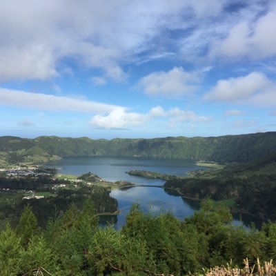 MariaLisboa's profile picture. 