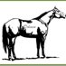 Dolmen Bloodstock (@dolmenbldstock) Twitter profile photo Dolmen Bloodstock (@dolmenbldstock) Twitter profile photo